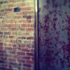 Picture 170 (Small).jpg