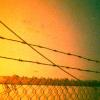 Picture_14 (Small).jpg