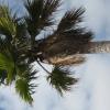 img_1805 (Small).JPG