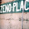 zeno2 (Small).jpg